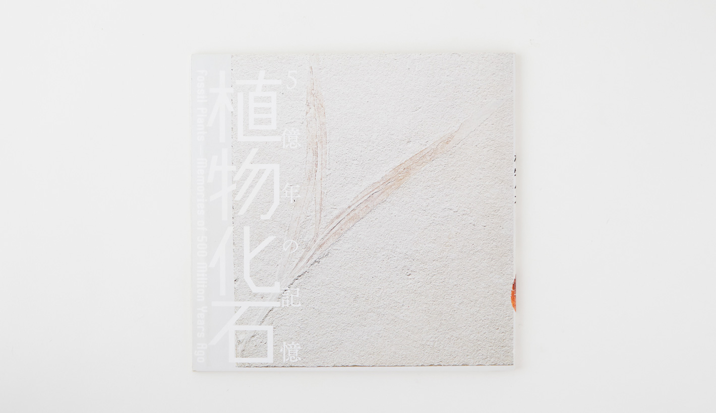 植物化石―5億年の記憶