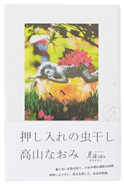 押し入れの虫干し