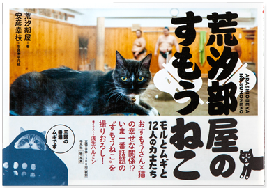 荒汐部屋のすもうねこ