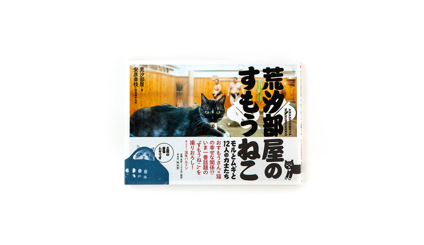 荒汐部屋のすもうねこ